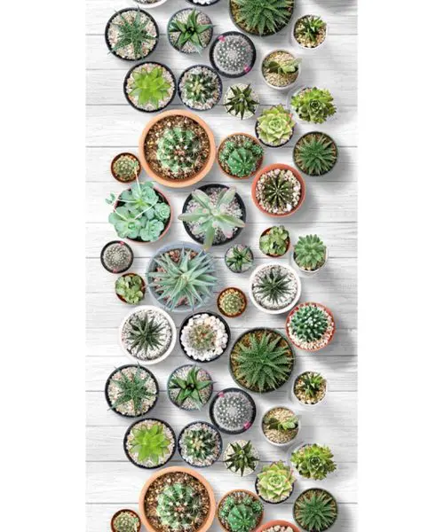 Tappeto Futura Cactus disegno vasi piante grasse passatoia cucina e multiuso