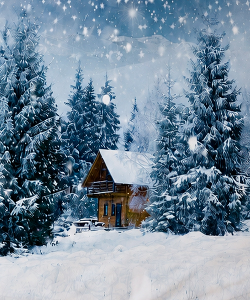 Dettaglio Parure Copripiumino matrimoniale in cotone e 100% prodotto in Italia. Stampa digitale a tema periodo natalizio e montagna innevata, ideale per regalo Natale. Disegno CHALET
